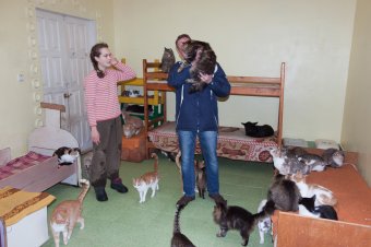 В приемной семье под Одессой вместе с детьми проживают более сотни животных