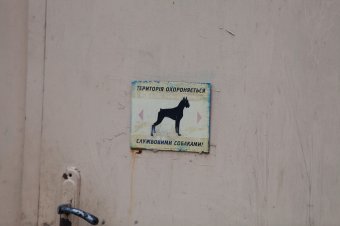 В приемной семье под Одессой вместе с детьми проживают более сотни животных