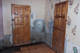 В приемной семье под Одессой вместе с детьми проживают более сотни животных