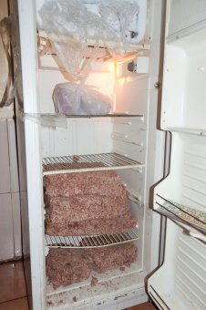 В приемной семье под Одессой вместе с детьми проживают более сотни животных