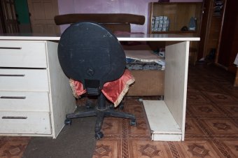 В приемной семье под Одессой вместе с детьми проживают более сотни животных