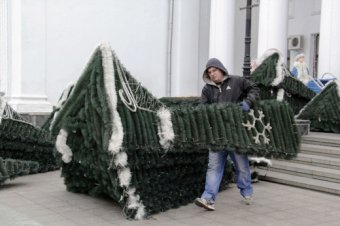 172 дерева на Приморском бульваре Одессы заново украшены разноцветной подсветкой (фото)