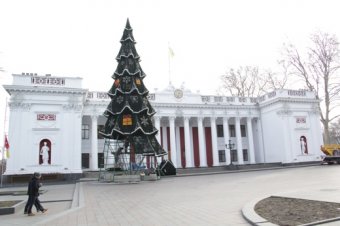 172 дерева на Приморском бульваре Одессы заново украшены разноцветной подсветкой (фото)