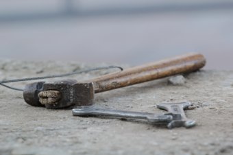 172 дерева на Приморском бульваре Одессы заново украшены разноцветной подсветкой (фото)