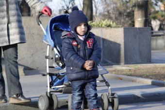 172 дерева на Приморском бульваре Одессы заново украшены разноцветной подсветкой (фото)