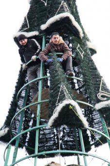 172 дерева на Приморском бульваре Одессы заново украшены разноцветной подсветкой (фото)