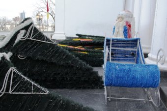 172 дерева на Приморском бульваре Одессы заново украшены разноцветной подсветкой (фото)