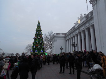 На Думской площади  разноцветными огнями засияла главная ёлка города (фото)