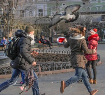 По Одессе пробежались Санта-Клаусы (фото)