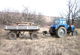 Под Одессой задержали нелегальных лесорубов (фото)