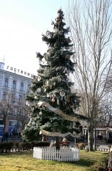 В Горсаду появилась «Народная ёлка» (фото)