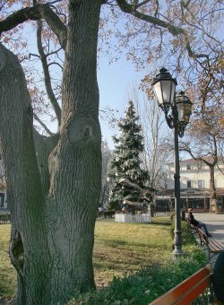 В Горсаду появилась «Народная ёлка» (фото)