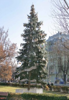 В Горсаду появилась «Народная ёлка» (фото)