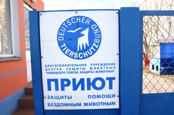 Праздник в Немецком приюте (фото)