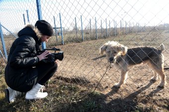 Праздник в Немецком приюте (фото)