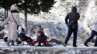 В парке Победы первый снег, и первый лед