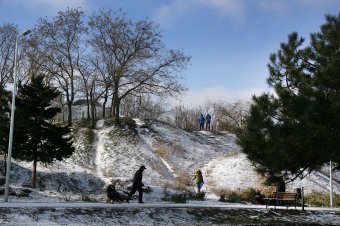 В парке Победы первый снег, и первый лед