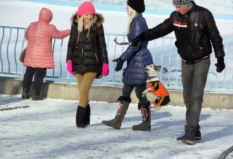 В парке Победы первый снег, и первый лед