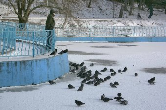 В парке Победы первый снег, и первый лед
