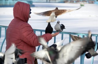 В парке Победы первый снег, и первый лед
