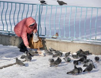 В парке Победы первый снег, и первый лед