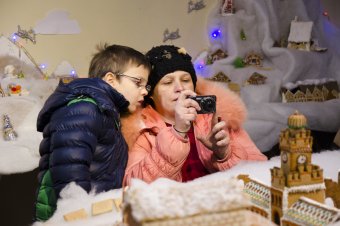 В Одессе проходит выставка пряничных домиков (фото)