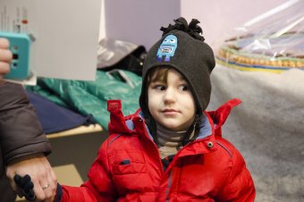 В Одессе проходит выставка пряничных домиков (фото)