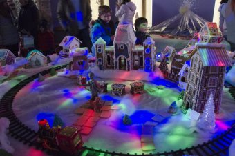 В Одессе проходит выставка пряничных домиков (фото)