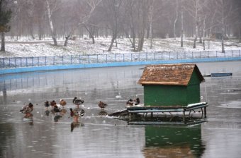 Одесситов просят не выходить на лед прудов в парке Победы