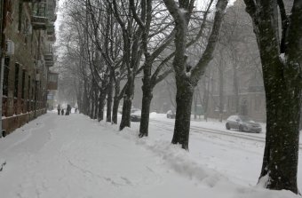 Снег в Одессе (фото)