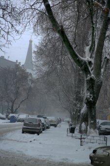 Снег в Одессе (фото)