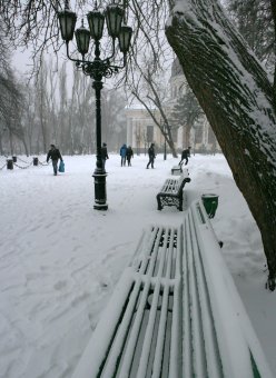 Снег в Одессе (фото)