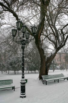 Снег в Одессе (фото)