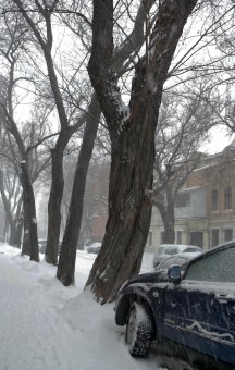 Снег в Одессе (фото)
