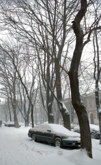 Снег в Одессе (фото)