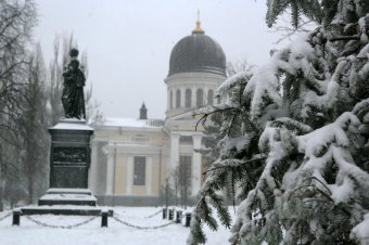 Снег в Одессе (фото)