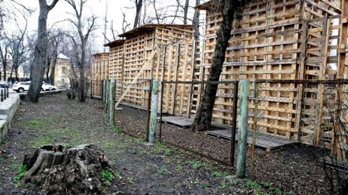 На Лидерсовском бульваре появились таинственные «курятники Маразли»