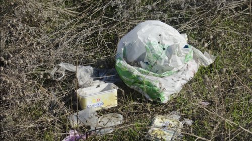 Суворовский район: коммунальщики убирают скверы и подъезды к городу