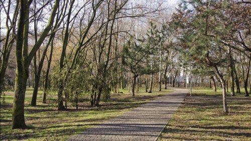 Суворовский район: коммунальщики убирают скверы и подъезды к городу