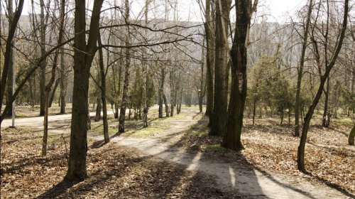 Суворовский район: коммунальщики убирают скверы и подъезды к городу