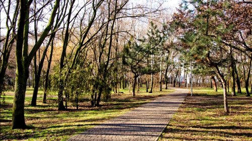 В Одесские парки пришла весна (фоторепортаж)