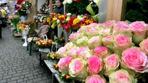 Суета на цветочных рынках (фоторепортаж)