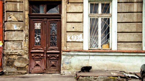 Odessit дарит женщинам котов: мартовская прогулка по городу (фоторепортаж)