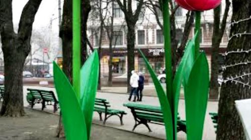 8 Марта: женщины, цветы, чувства и улыбки (фоторепортаж)