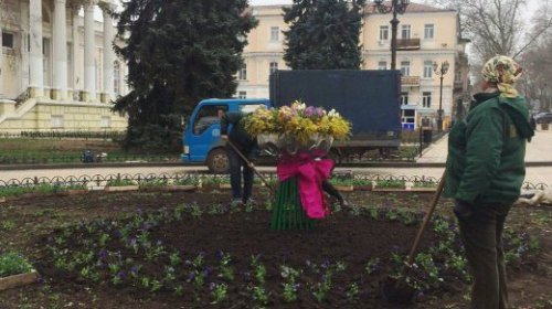 На улицах Одессы установили новые цветочные композиции