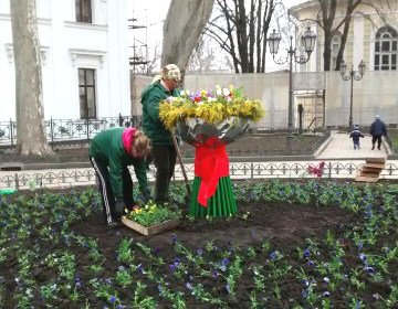 На улицах Одессы установили новые цветочные композиции