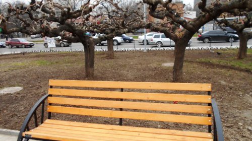 В Одессе озеленяют сквер Героев-летчиков