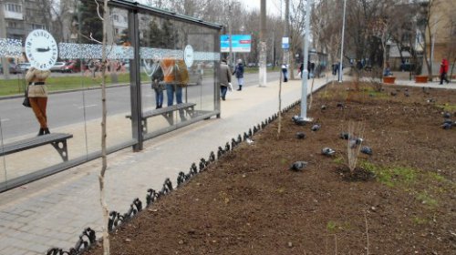 В Одессе озеленяют сквер Героев-летчиков