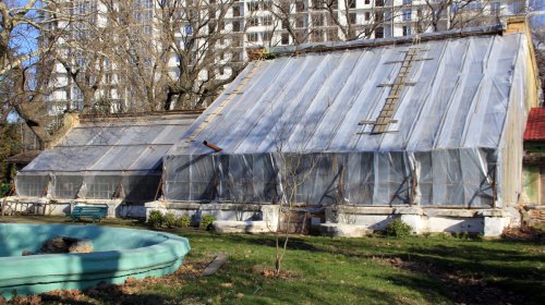 В Одесском ботаническом саду разрушается старинная оранжерея (фоторепортаж)