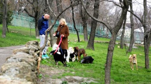 В Стамбульском парке восстанавливают старинный грот  (фоторепортаж)